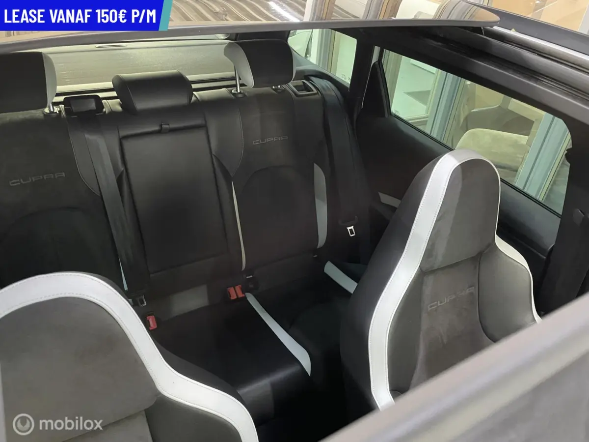 2.0 TSI Cupra 290 DSG PANORAMA NAVI CRUISE KUIPSTOELEN VOL OPTIES