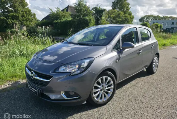 1.0 Turbo Business+ / Half leder / Cruise control