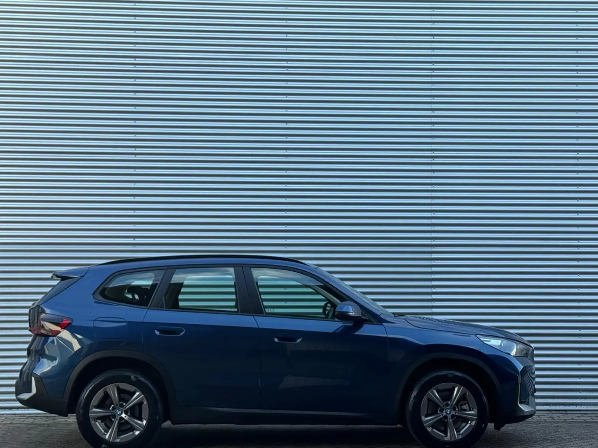 xDrive25e/ X-Line /Leder/Aut/Keyless /Camera/Cruise/Carplay