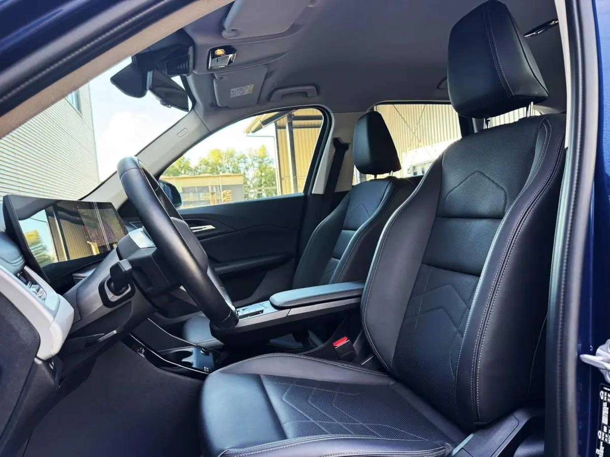 xDrive25e/ X-Line /Leder/Aut/Keyless /Camera/Cruise/Carplay