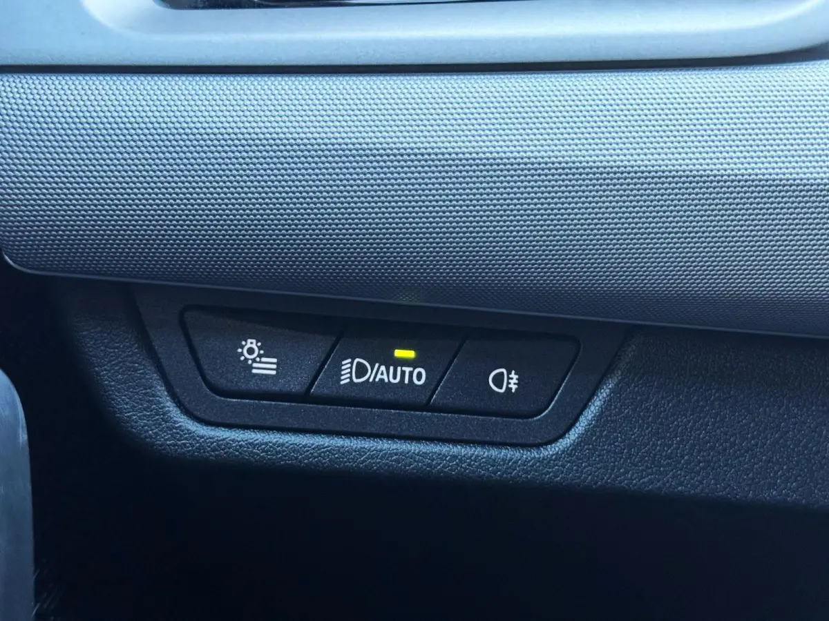 xDrive25e/ X-Line /Leder/Aut/Keyless /Camera/Cruise/Carplay