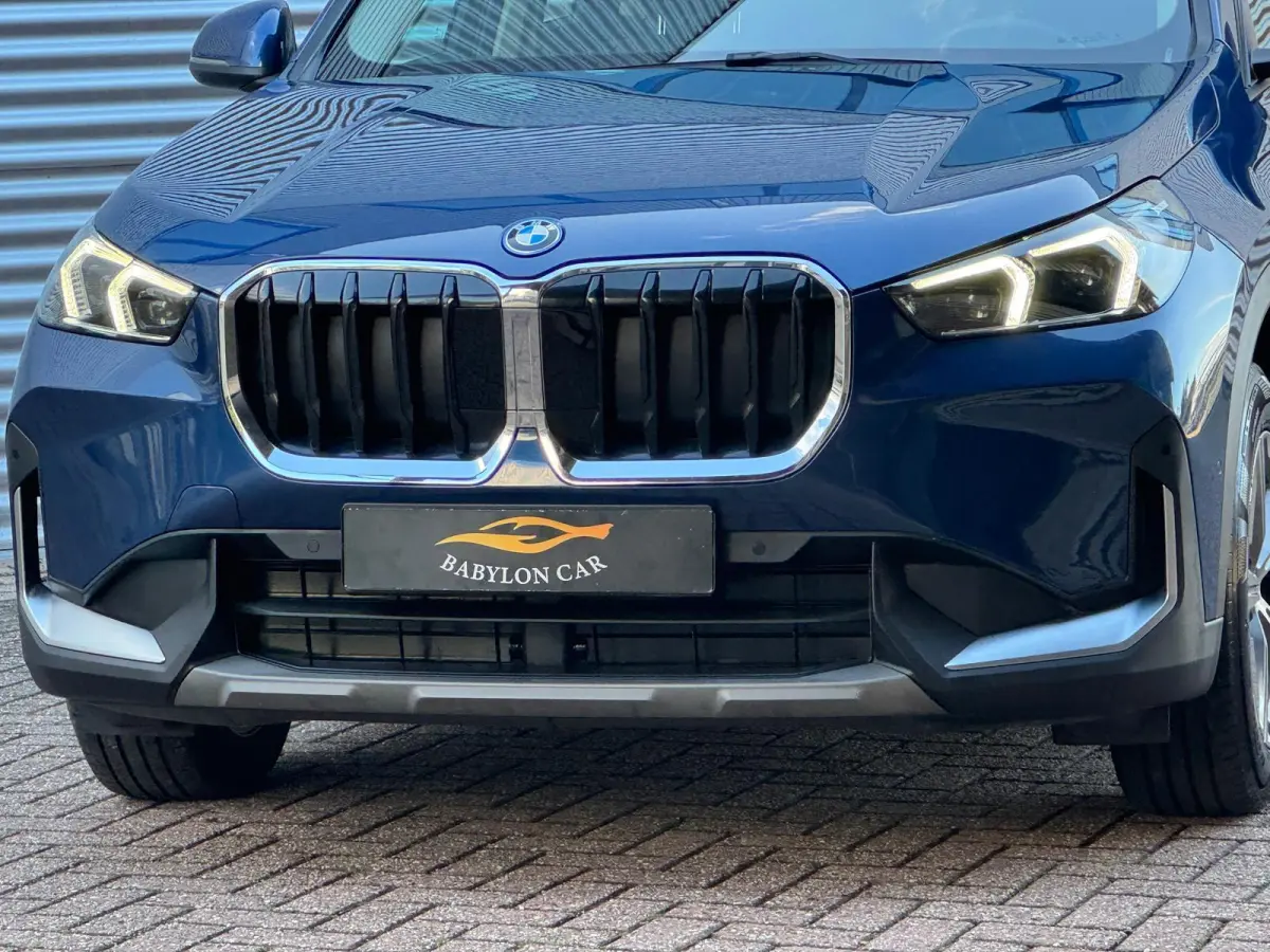 xDrive25e/ X-Line /Leder/Aut/Keyless /Camera/Cruise/Carplay