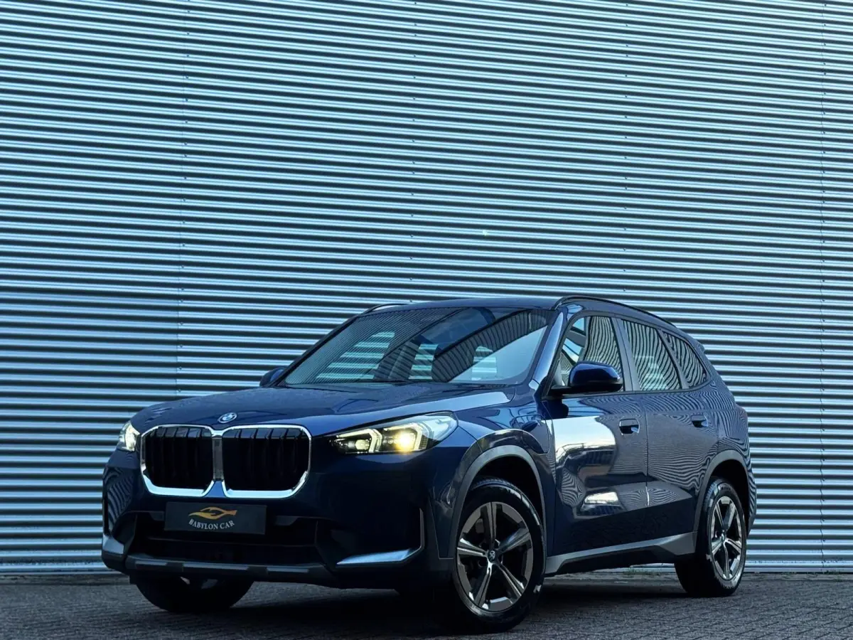 xDrive25e/ X-Line /Leder/Aut/Keyless /Camera/Cruise/Carplay