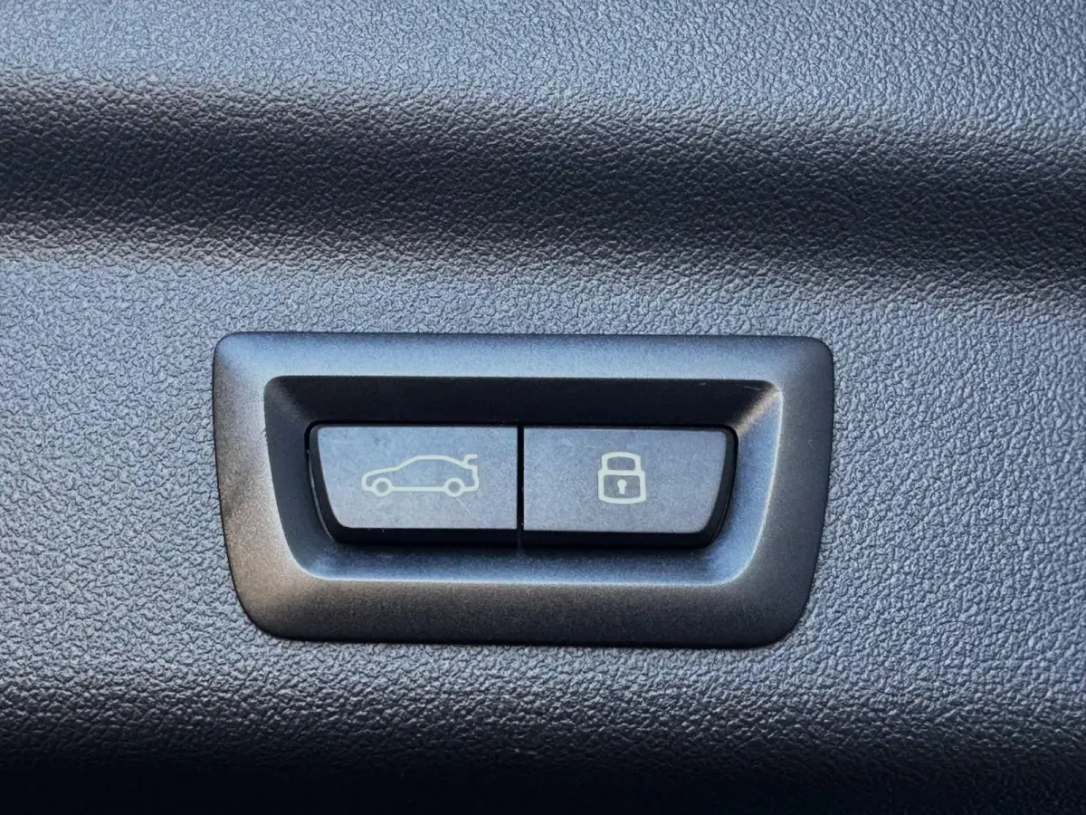 xDrive25e/ X-Line /Leder/Aut/Keyless /Camera/Cruise/Carplay