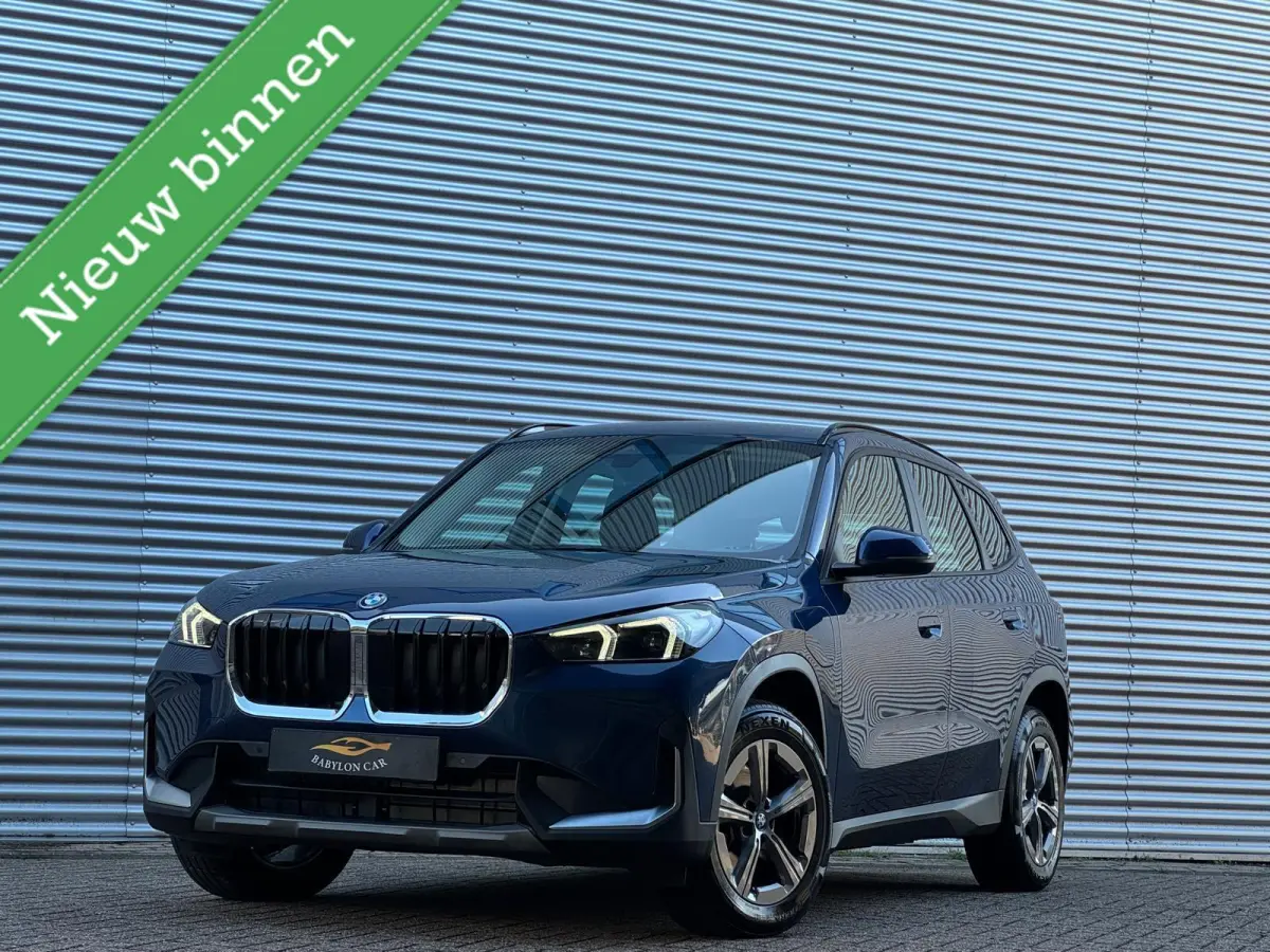 xDrive25e/ X-Line /Leder/Aut/Keyless /Camera/Cruise/Carplay