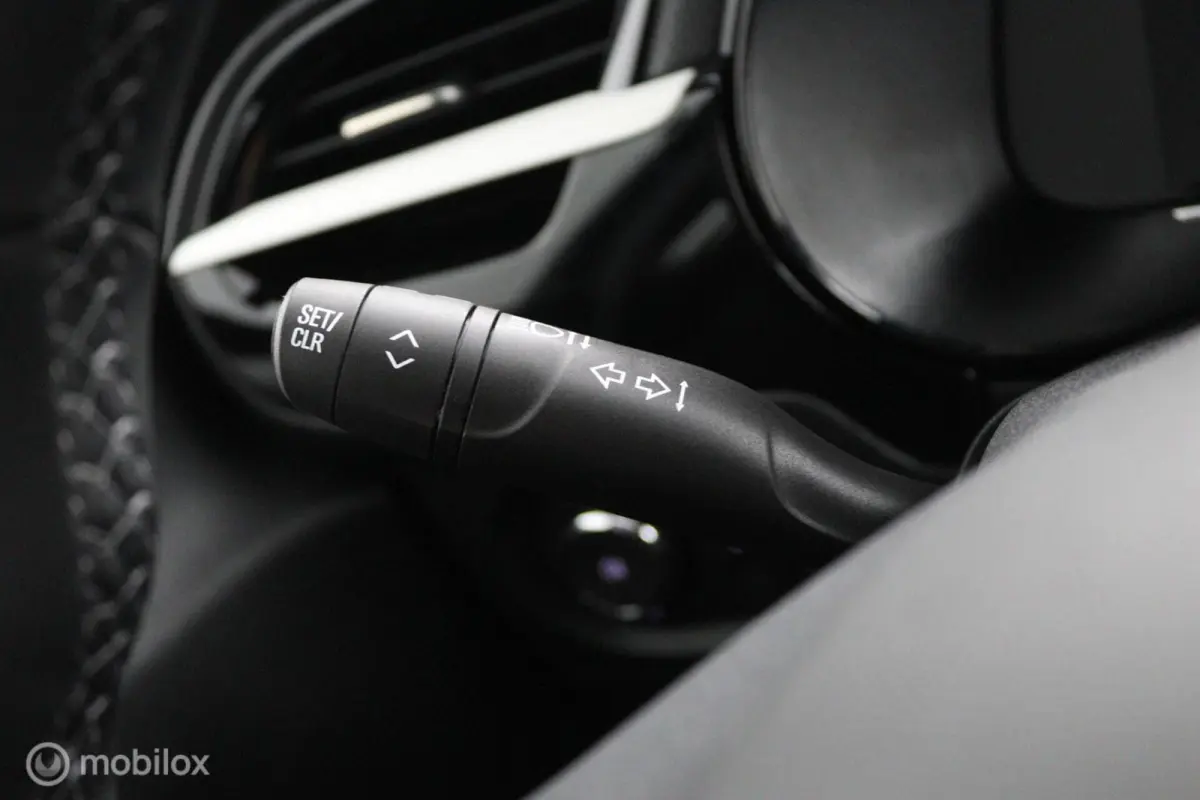 1.2 Turbo Hybrid GS | Camera | Apple CarPlay & Android Auto | DAB | Stoel-Stuurverw.