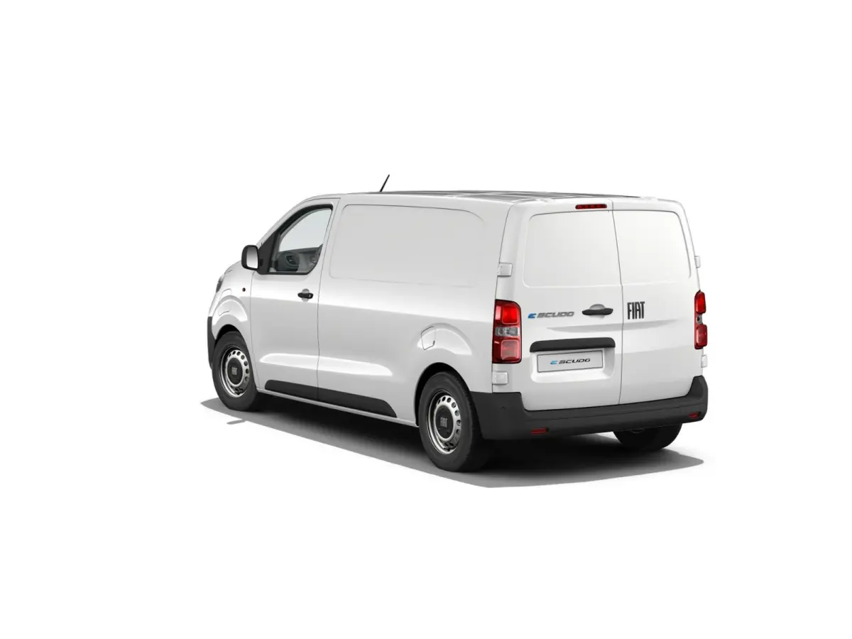 Professional Standaard | ABS met noodremassistentie / ESP en Hill Start Assist | Automatisch inschakelende verlichting en ruitenwissers | Cruise control met snelheidsbegrenzer (bediening ach
