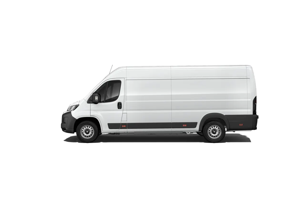 Professional Standaard - Elektrisch | Cruise control met begrenzer