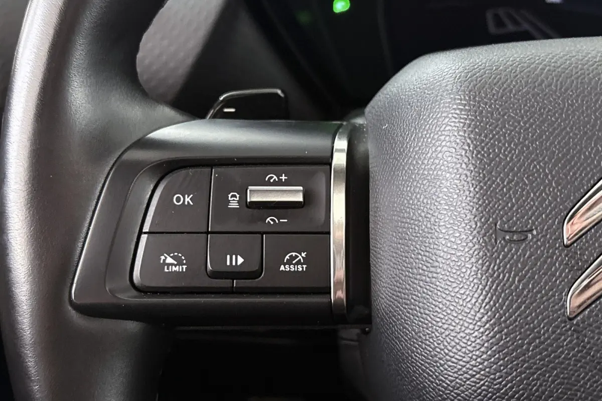 1.6 Plug-in Hybrid 225 Shine Panoramadak 360 Camera Memory