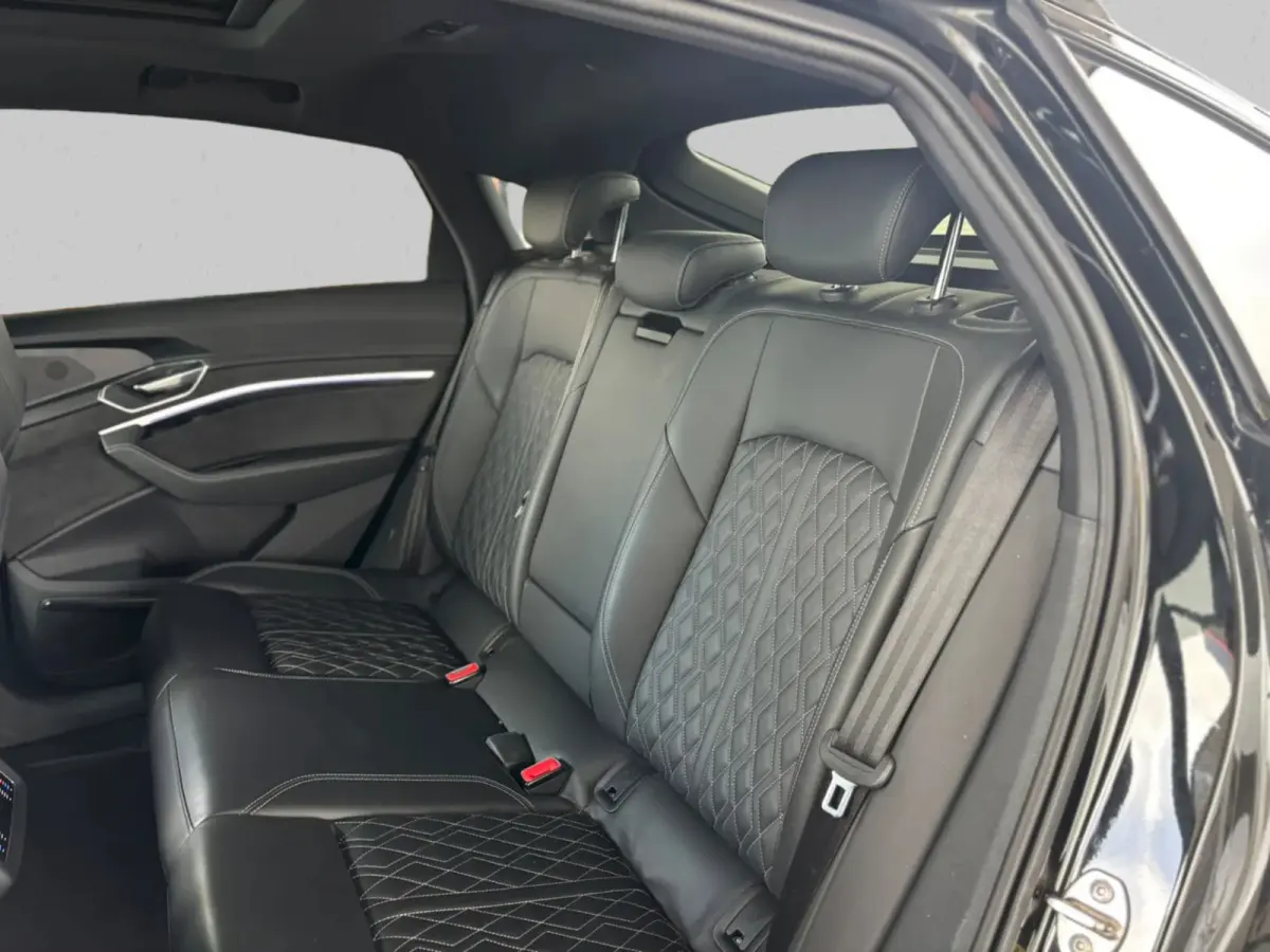 55 quattro edition 95 kWh S-Line 91%SoH(Dealer ondH, Panorama, Camera, Head-up, B&O, Carplay, Etc)