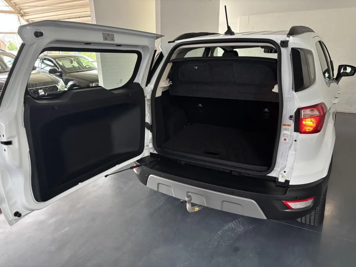 1.0 EcoBoost Titanium,17", LED, Trekhaak