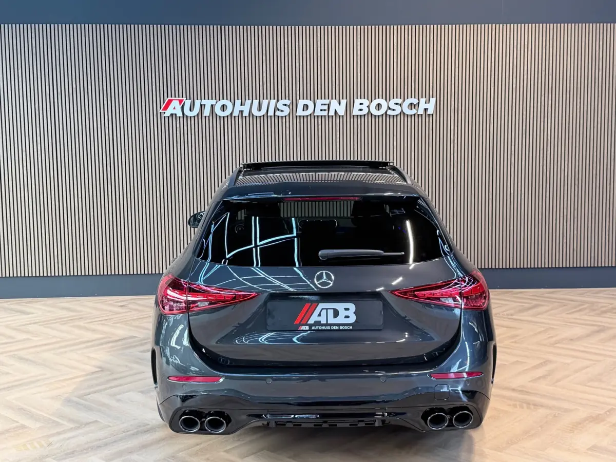 300 e AMG Line 313PK - Pano