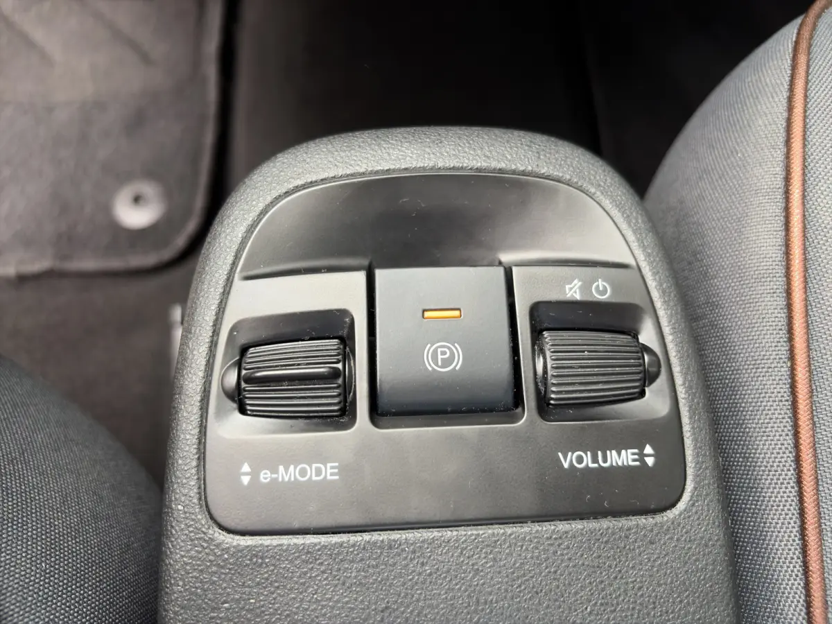 Icon 118pk 42 kWh | SOH 93% |  Navigatie | Climate control | Bluetooth | LM Velgen | Cruise control | Regensensor | Verkeersborddetectie |