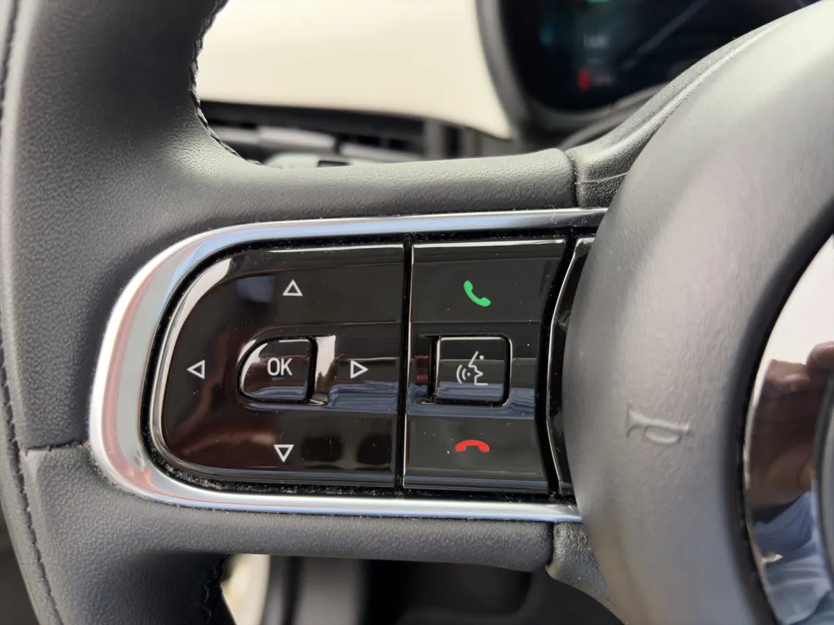Icon 118pk 42 kWh | SOH 93% |  Navigatie | Climate control | Bluetooth | LM Velgen | Cruise control | Regensensor | Verkeersborddetectie |
