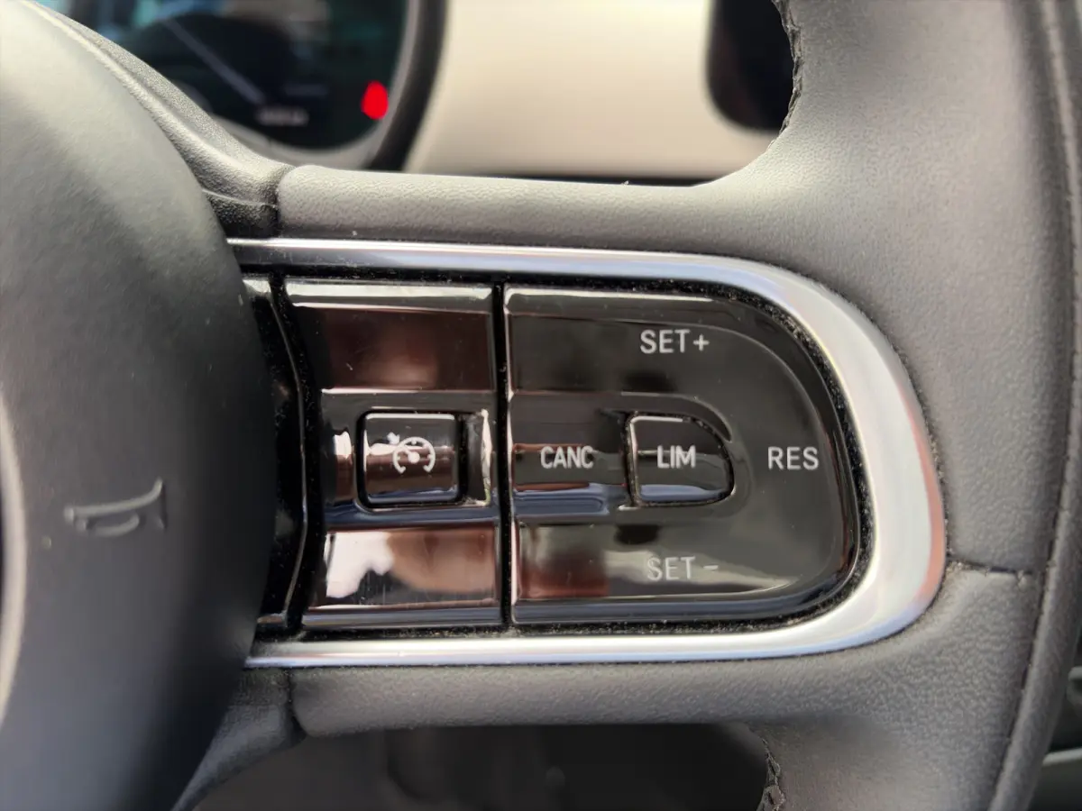 Icon 118pk 42 kWh | SOH 93% |  Navigatie | Climate control | Bluetooth | LM Velgen | Cruise control | Regensensor | Verkeersborddetectie |