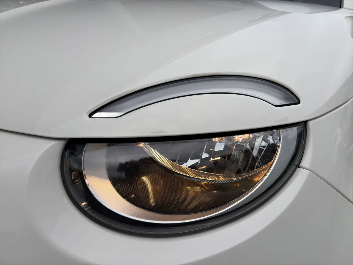 Icon 118pk 42 kWh | SOH 93% |  Navigatie | Climate control | Bluetooth | LM Velgen | Cruise control | Regensensor | Verkeersborddetectie |