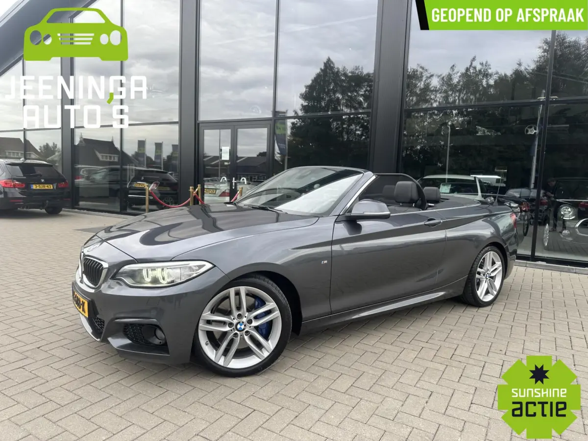 220i M pakket |Clima|Stoelverwarming|Trekhaak|Leer|Navi