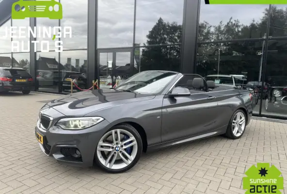 220i M pakket |Clima|Stoelverwarming|Trekhaak|Leer|Navi