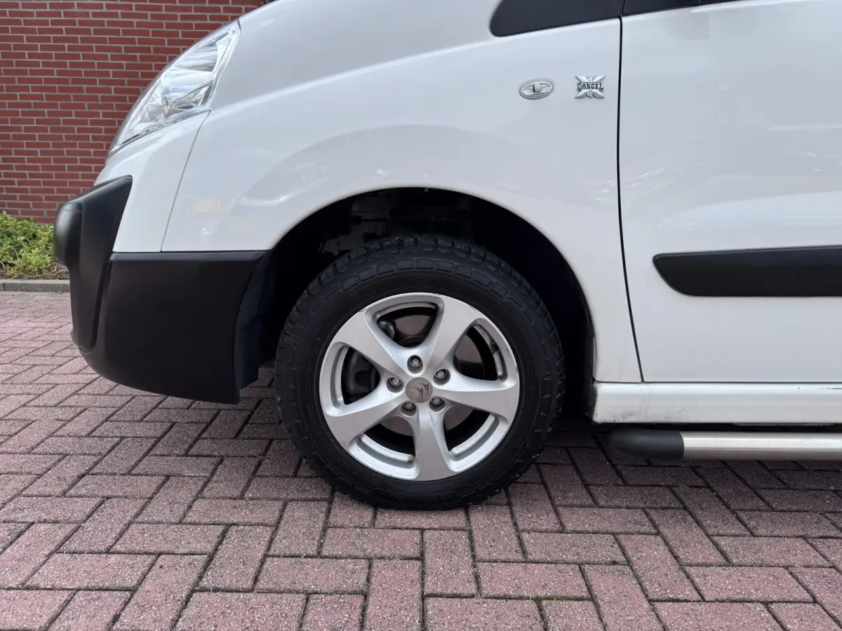 DANGEL 4X4 DGL0/8T 2.0HDI, Inbouw, Omvormer, Koelkast/Vriezer, Camera, Trekhaak, 4WD, Marge