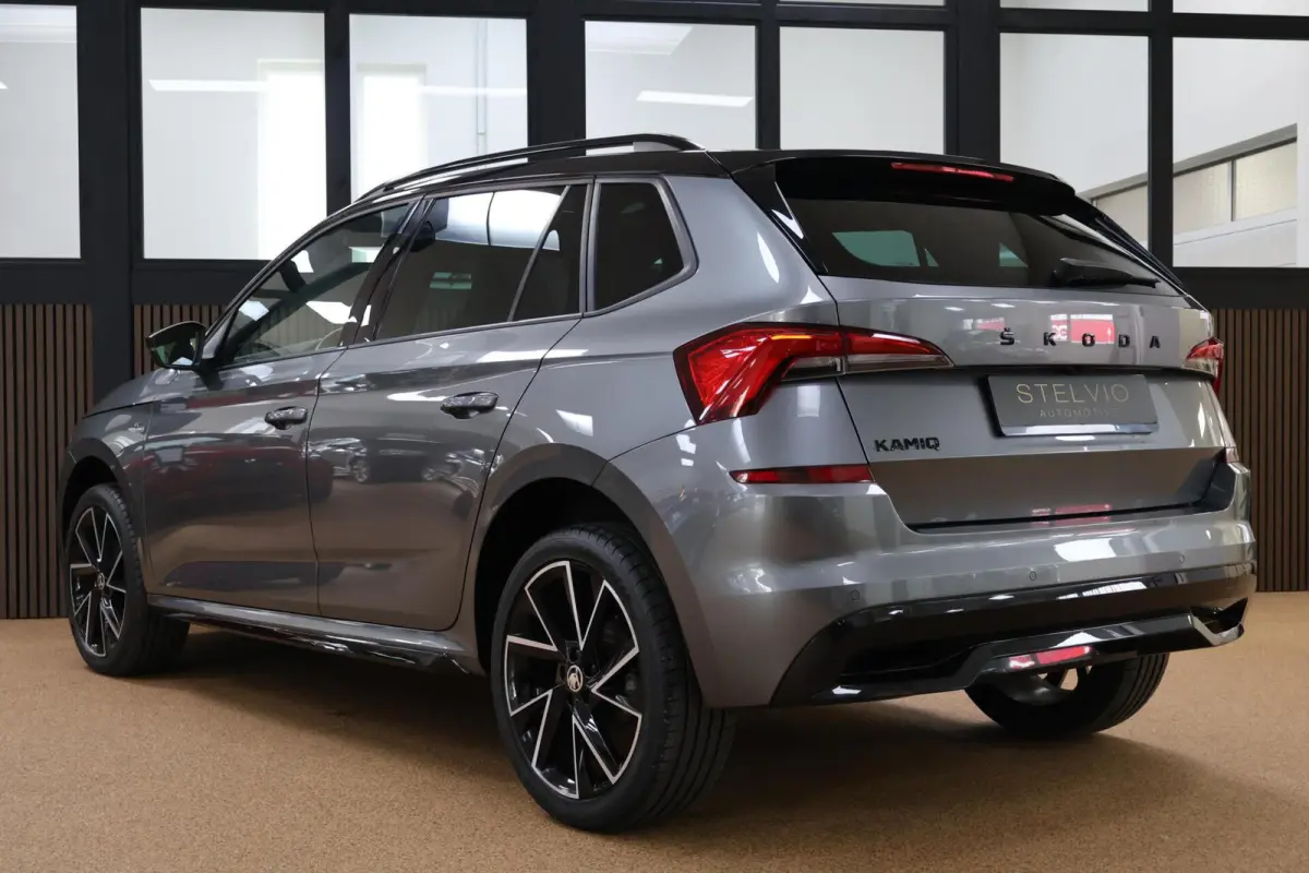 1.0 TSI Monte Carlo
