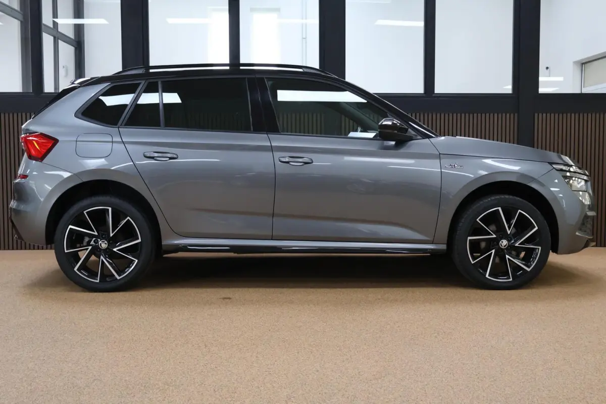 1.0 TSI Monte Carlo