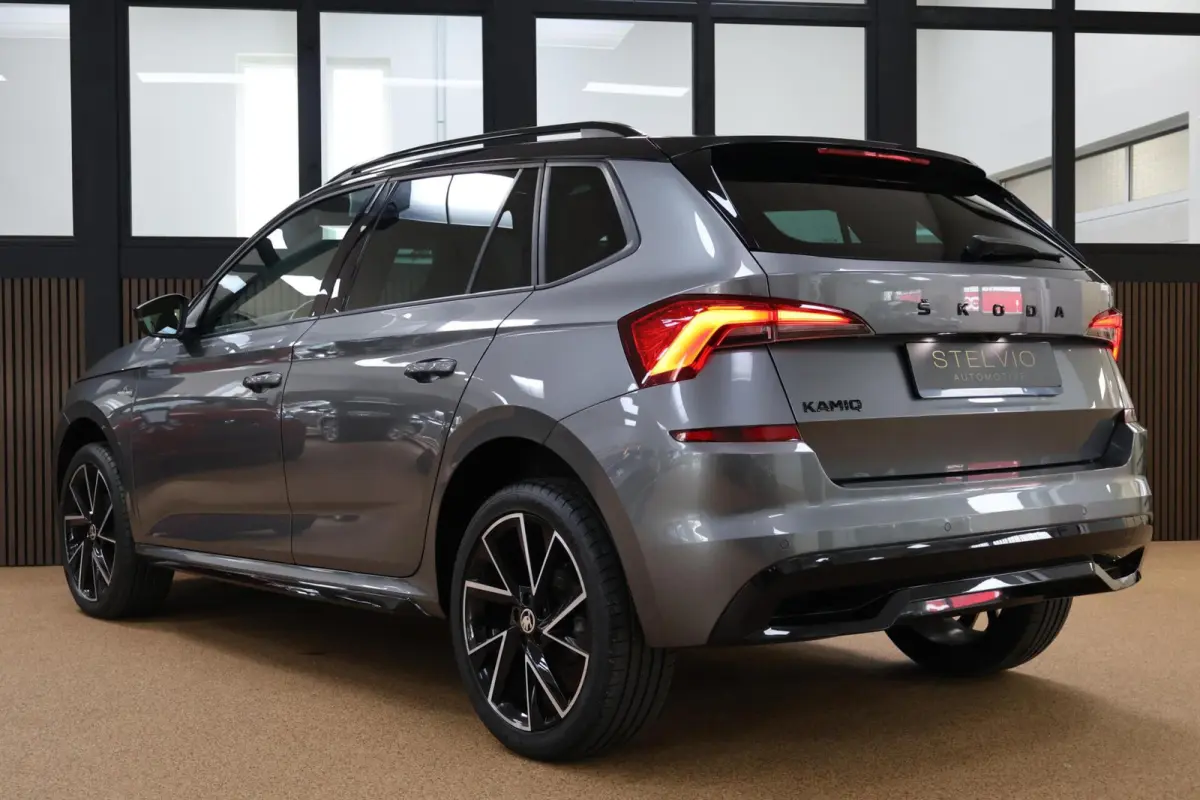 1.0 TSI Monte Carlo