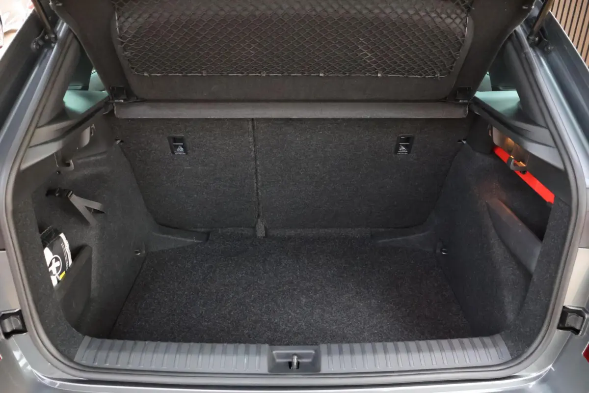 1.0 TSI Monte Carlo