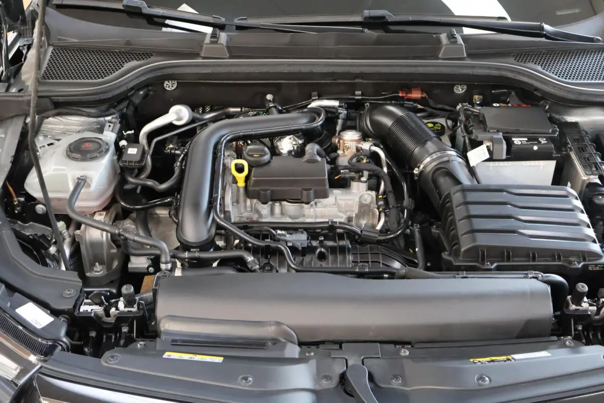 1.0 TSI Monte Carlo