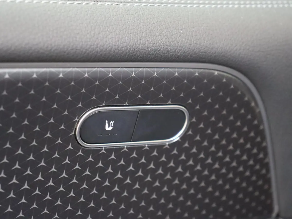 250+ Luxury Line LIMITED 71 kWh Premium Pakket /Panoramadak /Keyless-Go /CarPlay /10.198 KM!