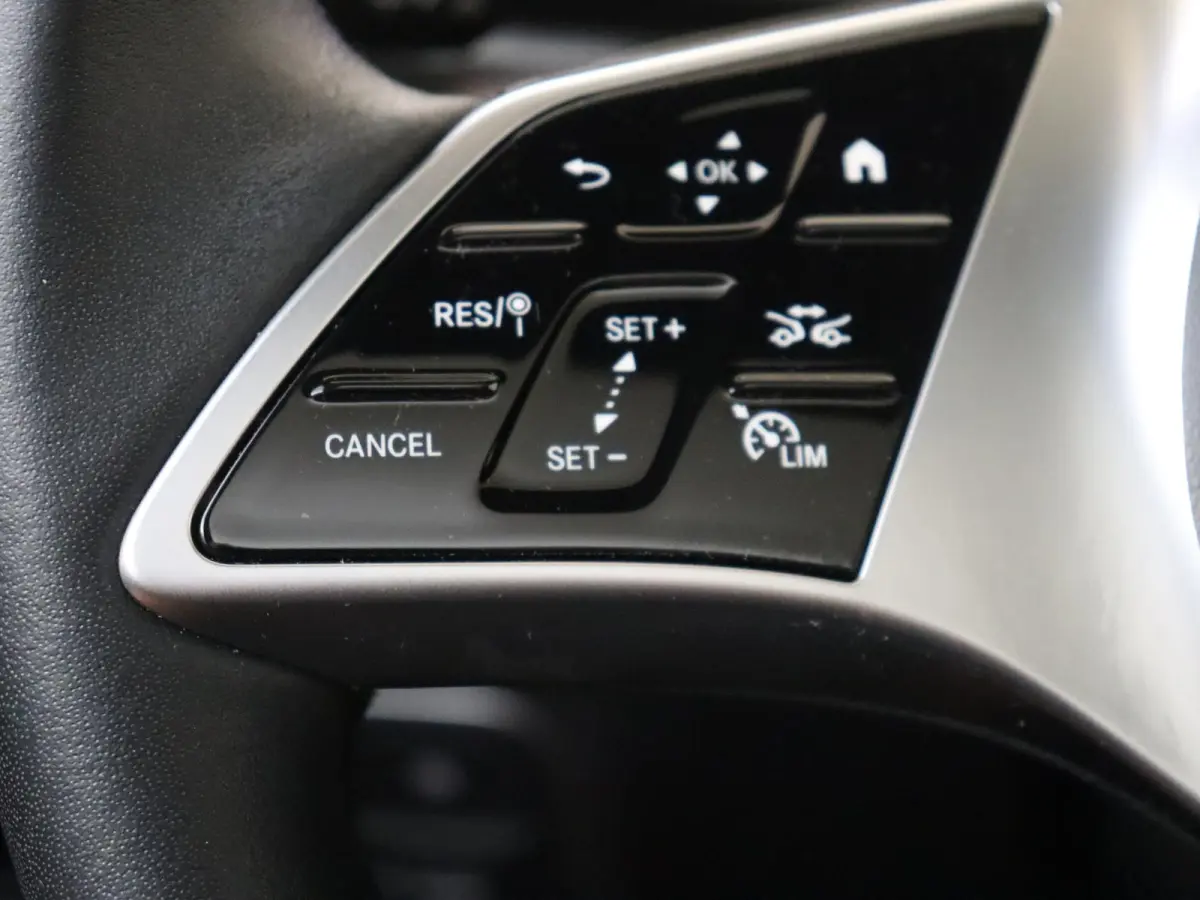 250+ Luxury Line LIMITED 71 kWh Premium Pakket /Panoramadak /Keyless-Go /CarPlay /10.198 KM!