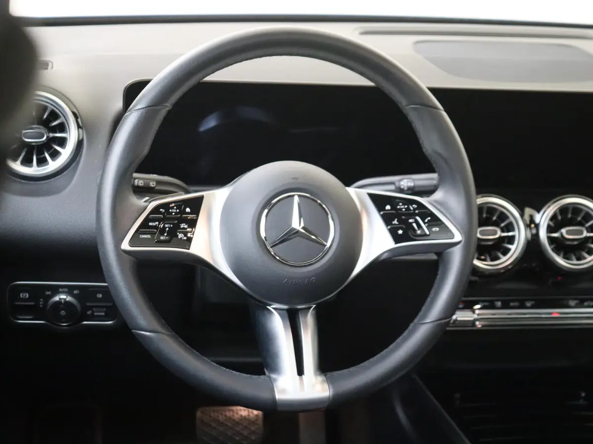 250+ Luxury Line LIMITED 71 kWh Premium Pakket /Panoramadak /Keyless-Go /CarPlay /10.198 KM!