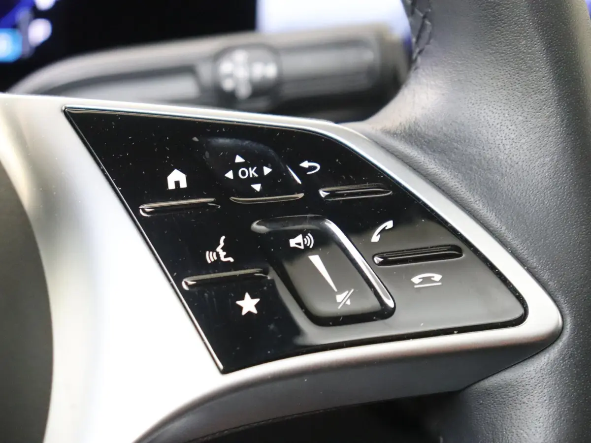 250+ Luxury Line LIMITED 71 kWh Premium Pakket /Panoramadak /Keyless-Go /CarPlay /10.198 KM!