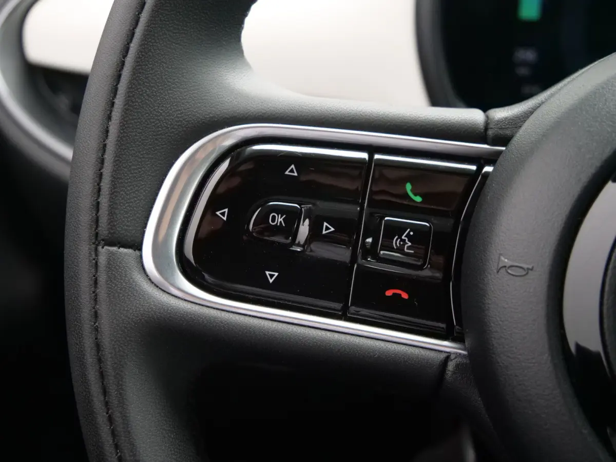 Urban 42 kWh 119 Pk Automaat Apple Carplay / DAB / Camera / SOH 95,5%