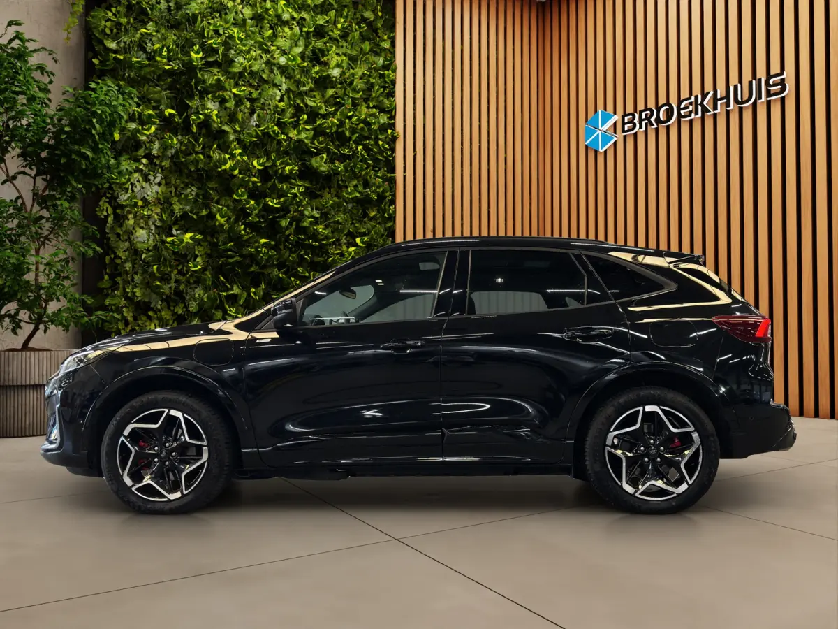 2.5 PHEV ST-Line X | Achterbank verwarmd | Achteruitrijcamera | Apple Carplay/Android Auto|telefoonintegratie premium
