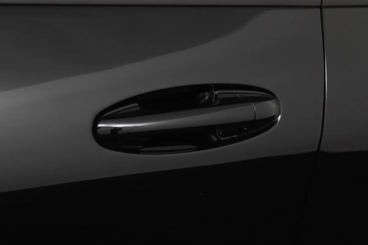 1.0 EcoBoost ST-Line | Achteruitrijcamera | Airco (automatisch) | Apple Carplay/Android Auto|telefoonintegratie premium