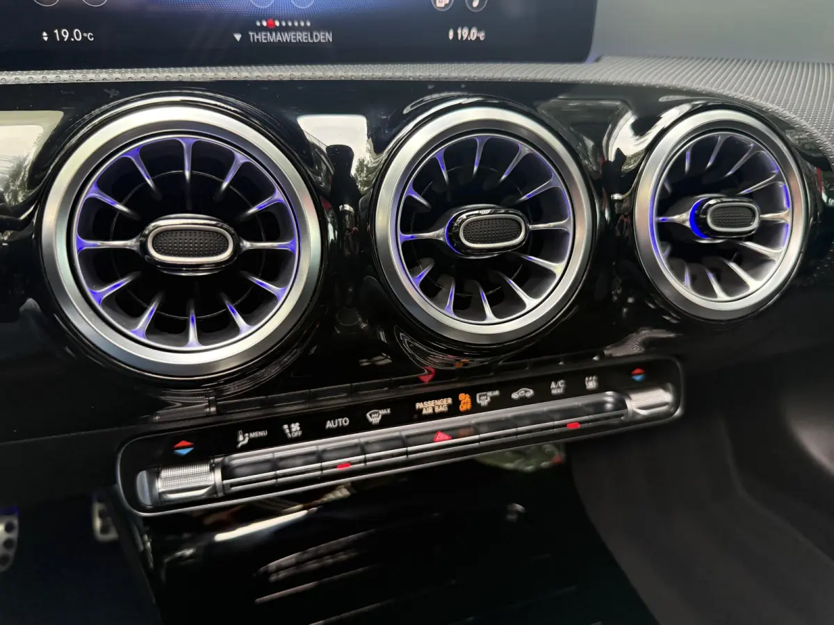 250 e Business Solution AMG Limited | Panoramadak | Sfeerverlichting | PDC + Camera | Climate control | Navigatie |