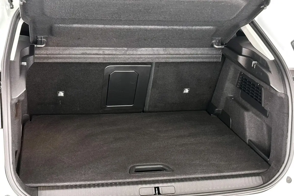 Shine 50 kWh Leder Keyless Camera Head-Up Adaptieve Cruise