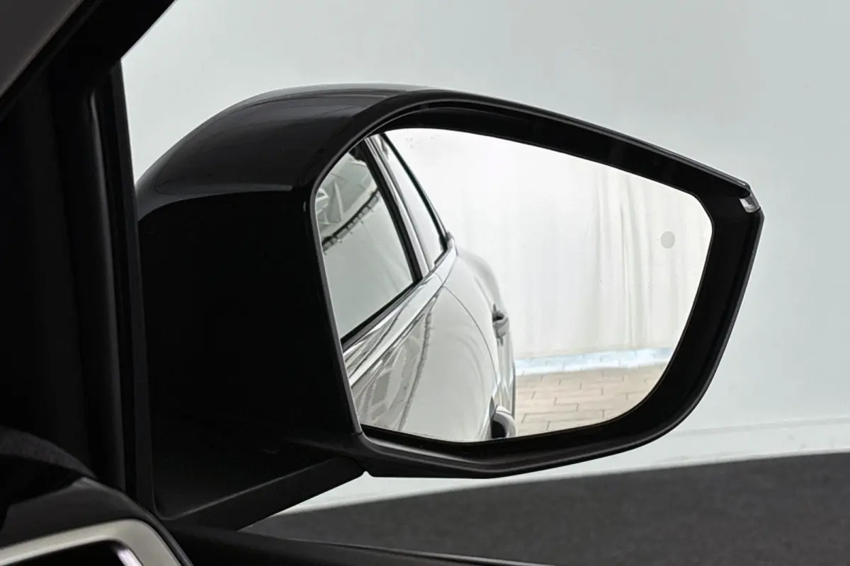 Shine 50 kWh Leder Keyless Camera Head-Up Adaptieve Cruise