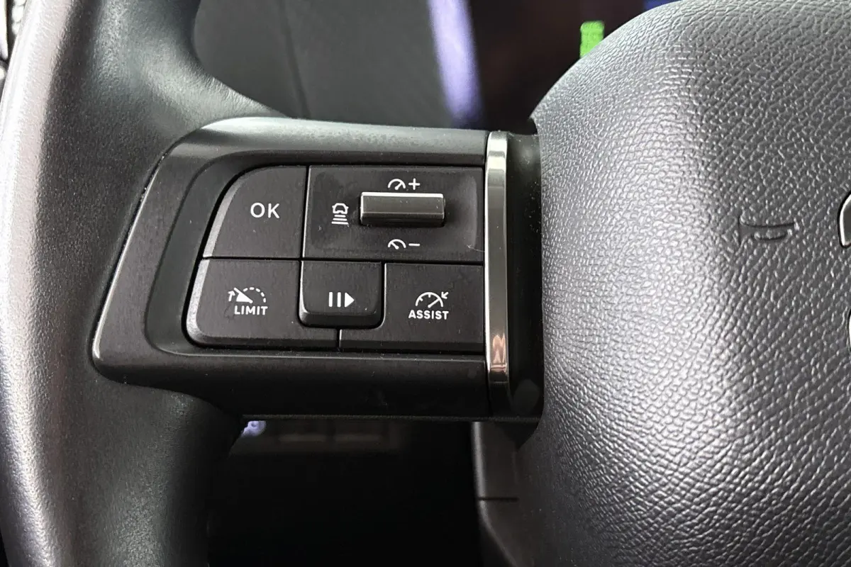Shine 50 kWh Leder Keyless Camera Head-Up Adaptieve Cruise