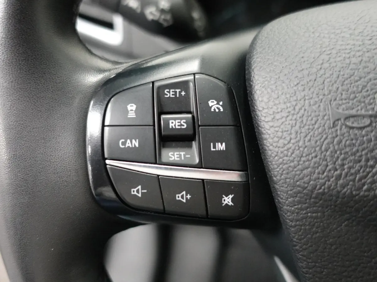 310 2.0 TDCI L2H2 Trend Automaat Airco Bluetooth Camera Cruise Control
