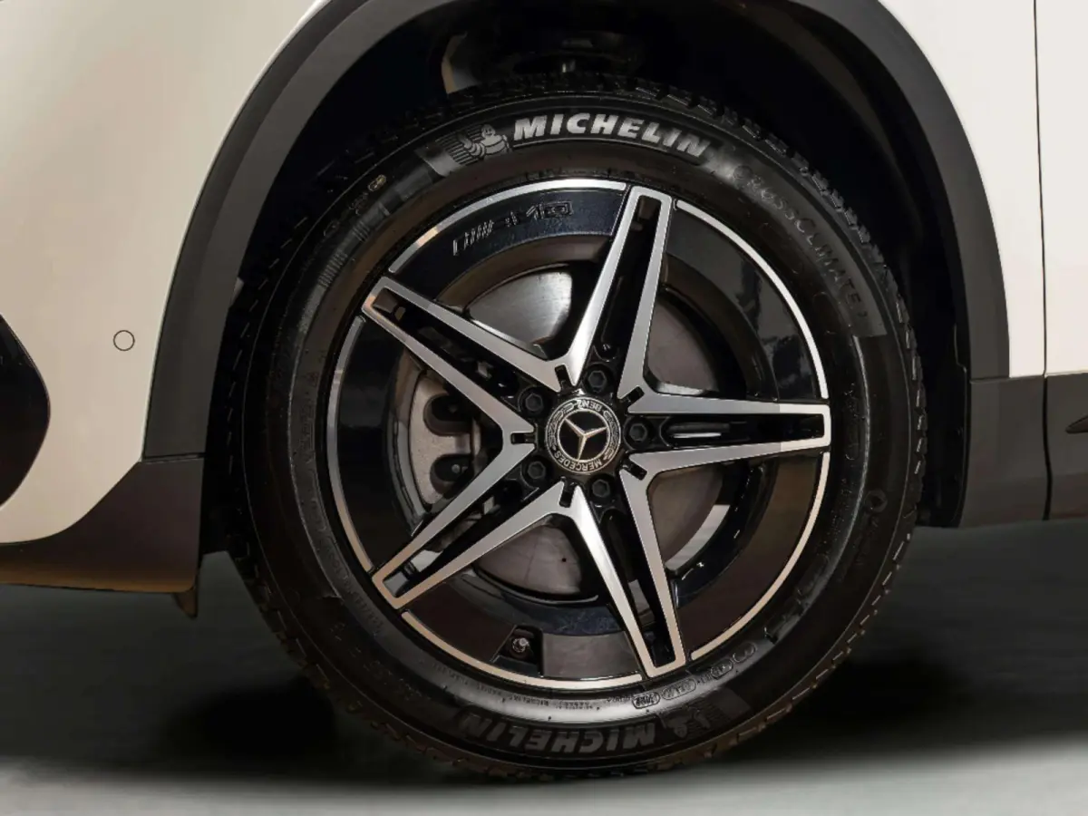 250 AMG Line 67 kWh | Trekhaak