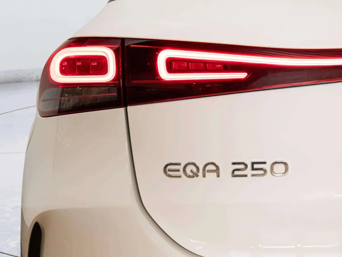 250 AMG Line 67 kWh | Trekhaak