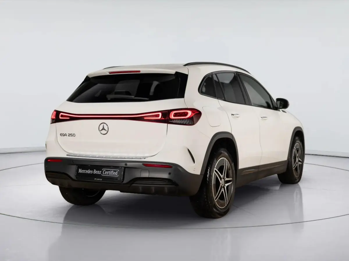 250 AMG Line 67 kWh | Trekhaak