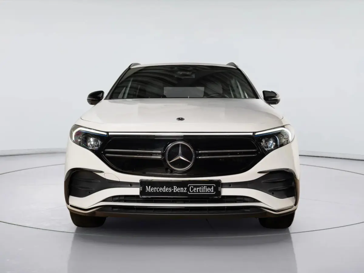 250 AMG Line 67 kWh | Trekhaak
