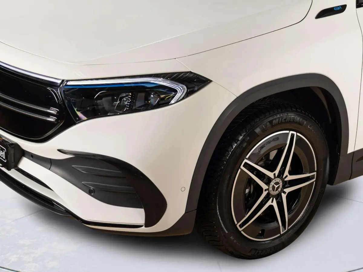 250 AMG Line 67 kWh | Trekhaak