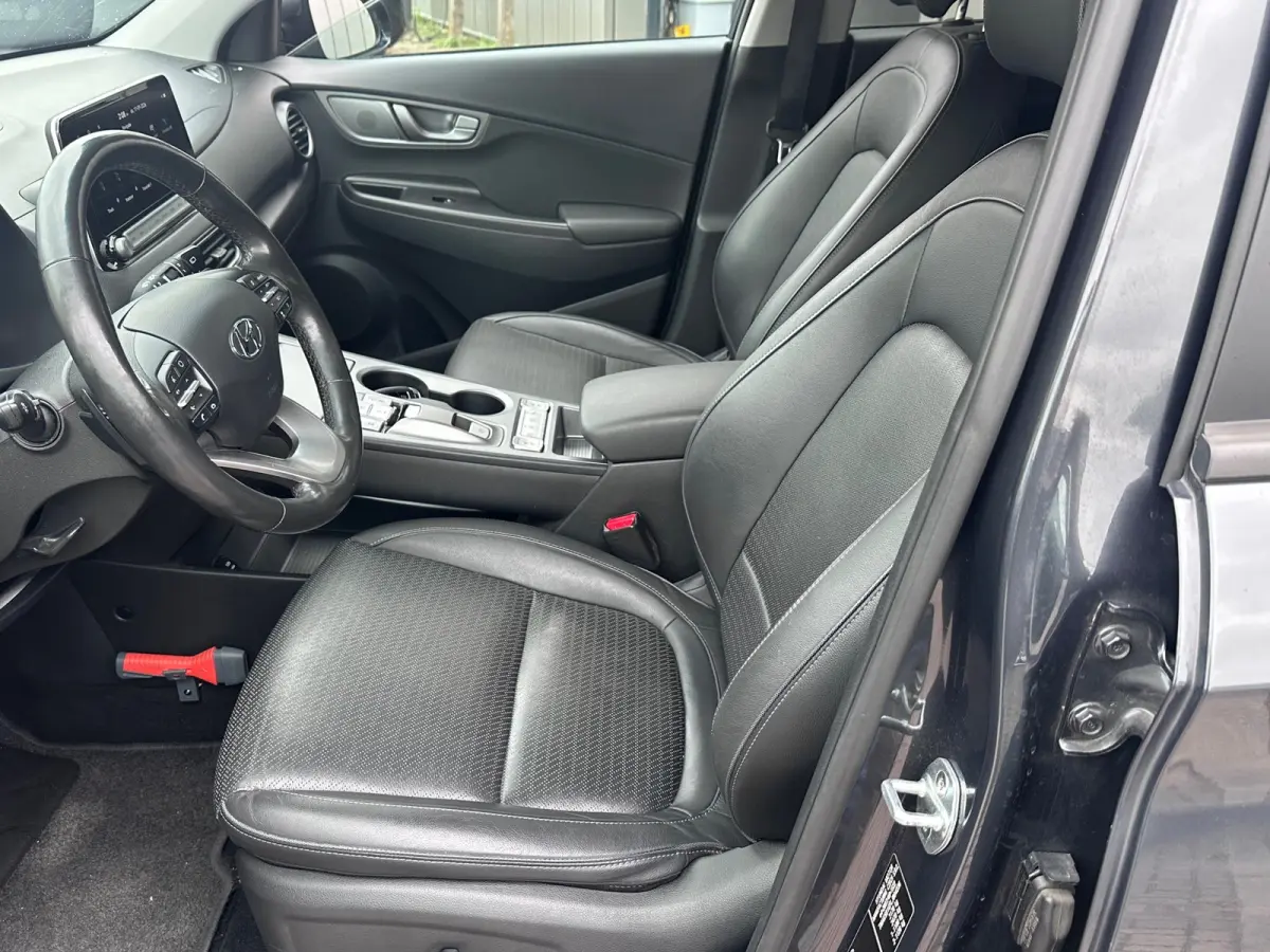 EV Premium 64 kWh SOH 100% TREKHAAK FASE 3 HEAD-UP LEER EL STOELEN