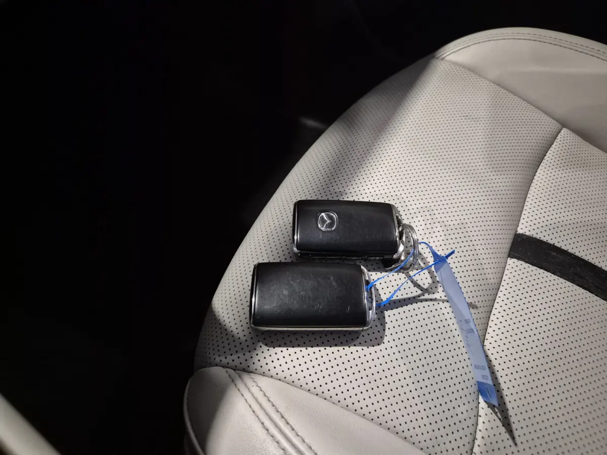 2.5 e-SkyActiv PHEV Takumi Bose | HUD | el Trekhaak | 360 Camera | Leder