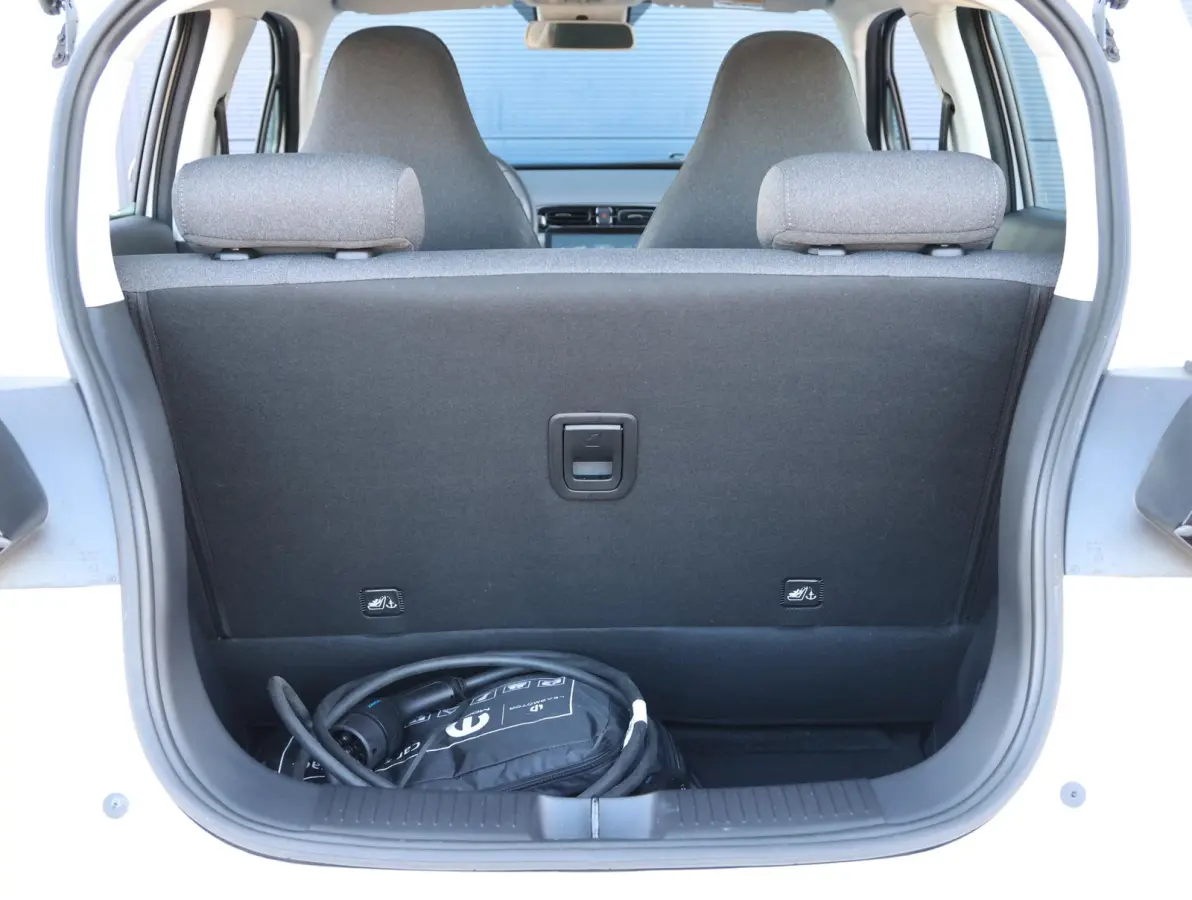 Design 37.3 kWh 1e Eigenaar | ACCU 100% | Keyless | Camera | 15" LMV