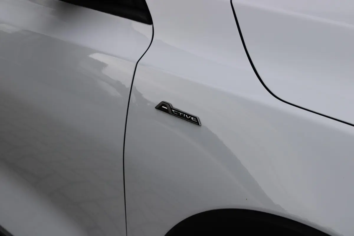 1.5 EcoBoost 150PK AUTOMAAT ACTIVE BUSINESS | AFNEEMBARE TREKHAAK | TECHNOLOGY PACK: (ADAPTIVE CRUISE CONTROL, GROOTLICHT ASSISTENT, TRAFFIC SIGN RECOGNITION, EVASIVE STEERING ASSIST, DRIVER