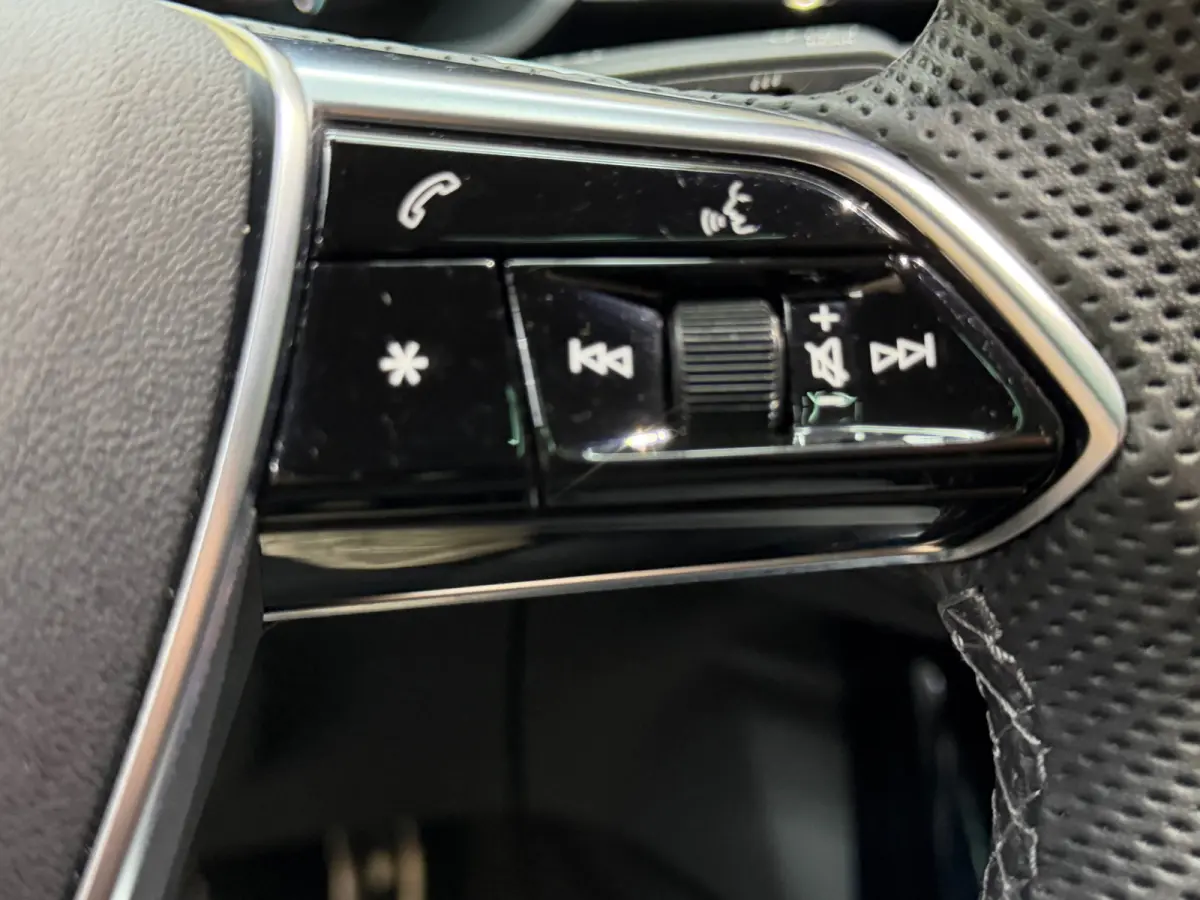 SQ8 50 quattro S Edition 95 kWh,21"LM, Pano, Adaptive Cruise, 360, Trekhaak, Luchtvering, Leder